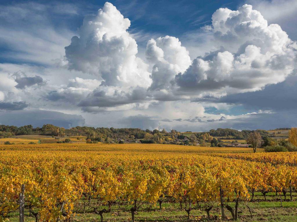 Le Palanquey au cœur des vignes